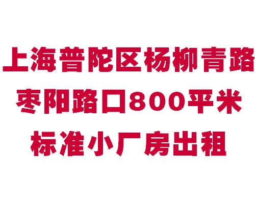 �Ϻ�������������·����·��800ƽ�ױ�׼С��������