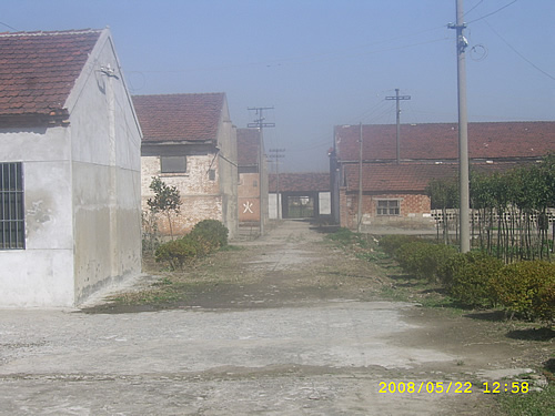 ������ͨ��޶������ÿ�����2000ƽ�ױ�׼��������/ռ��20Ķ