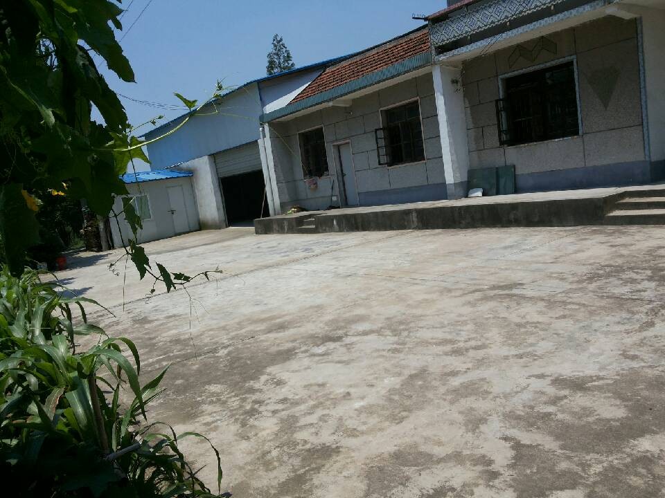 ������ҽ���ʤ��300ƽ����Ϳ�ϳ����ֿ����