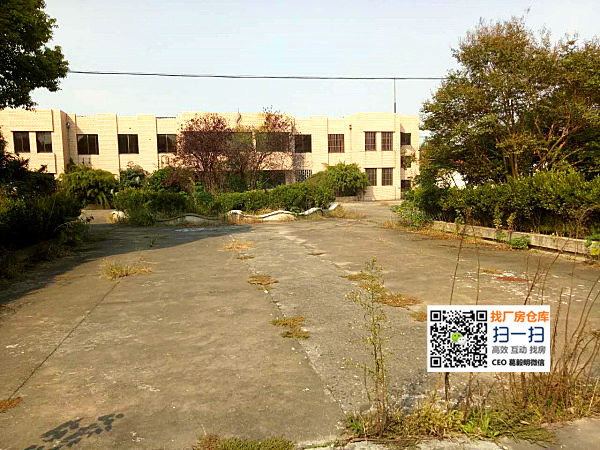 G1256 ̫�� ɳϪ�� ������ 14Ķ��ҵ�õ� 3ǧ��ƽ��������  �ۼ�1200��