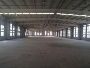 G1269 �ɽ����ڼӹ�����ȫ���㳧���ֿ���� 2835ƽ���� ���Ŷ�Ժ