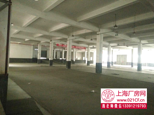 XJB0236 ������������ʢ��·3�㳧���ֿ���� �ɷ���