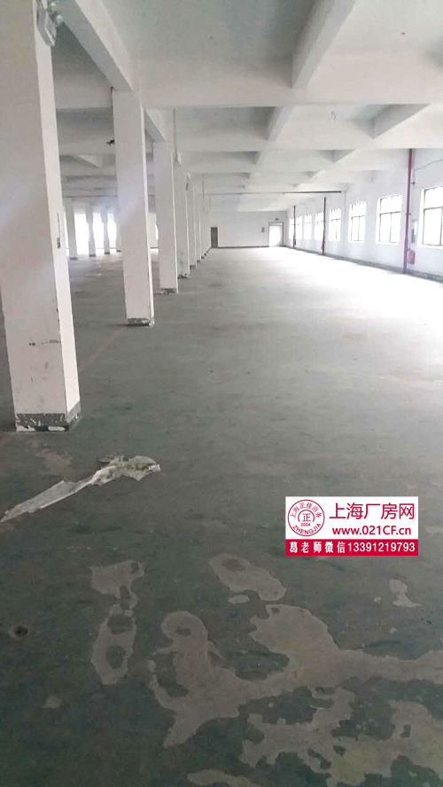 XJB0385�����������ͳ���3000��6000ƽ����˫�㳧���ֿ���� �ɷ���