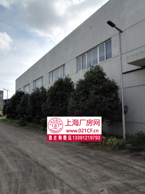 XJB0394���˾�������ƽ�ֶ�������2300ƽ���׿�װ�г������ֿ����