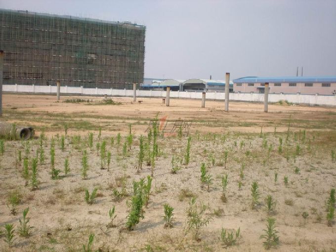 G1049 ��ɽ ��ׯ 30Ķ��ҵ�õس��ۣ��ۼ�38��/Ķ