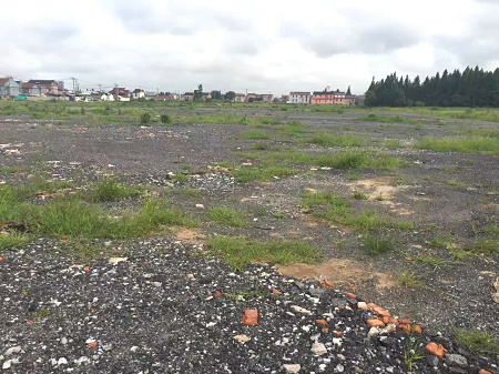 G1035 �ֶ� ף�Ž���ͣ�������� 5.5��һĶ ��������40Ķ