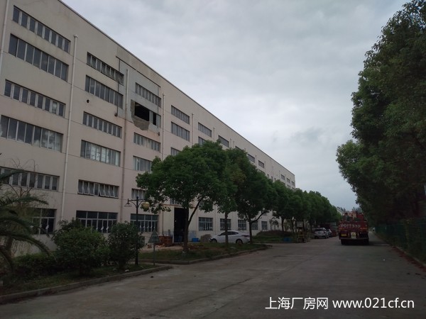 G1716  �ֶ� �ϻ�󷿶� 1300ƽ���� ����� �ɻ��� ���г� 500ƽ����