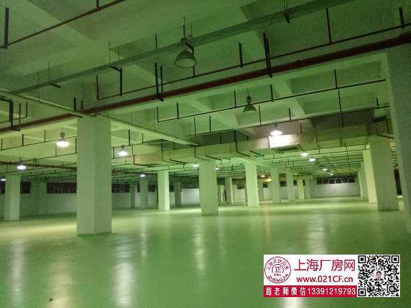 G1785�Ϻ�����������������·������������ֿ���� 100ƽ���� 1.6Ԫ