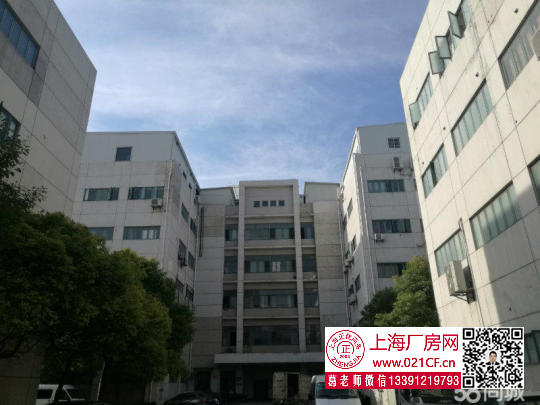 G1558 ���������·800ƽ���׾�װ¥�ϳ����ֿ�칫¥���� 900��Ԫ