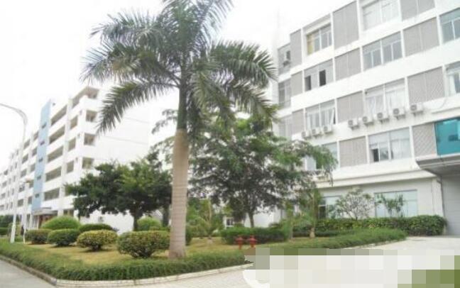 ������������ׯ����԰ һ¥650ƽ 800ƽ�����ֿ����