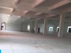 �Ͼ����ϳ��� ��������524ƽ����