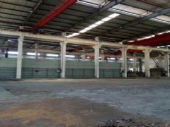 �������˶�����׼�������� 5000ƽ�� �ɷ��� �����