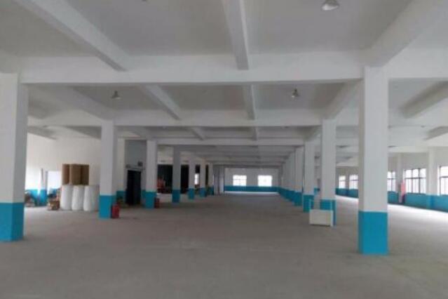 �����°�5000ƽ���Ҿ����᳧������