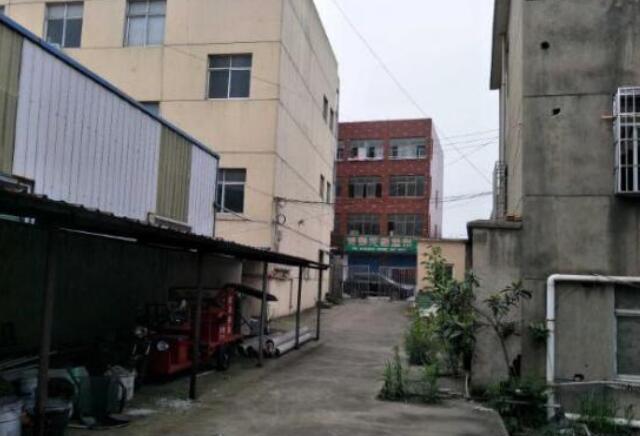 ���ݵ��峧������ �����׵�1000ƽ����׼��������