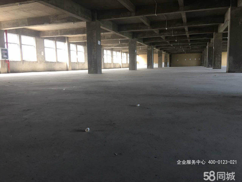 G2446�Ͼ�̩��(����) �������㳧������ 1200ƽ�ɷָ� �칫�ִ��ȶ���