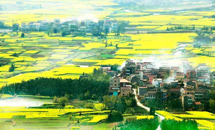 ���Ͼ��ߴ���ҵ�³ǡ�PPP԰�� ��ҵ���س������� �������� �ؼ�����Ż� �������� �����ǲ�ҵ�н���