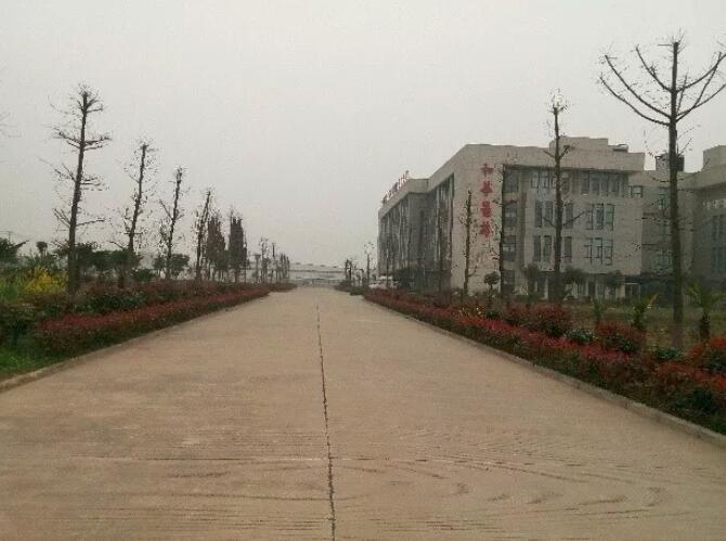 G2529 �Ͼ�����Ȧ ����ɽ���ؾ����������ֳ������س����������� ���õ�ָ��  100Ķ��ĳ���