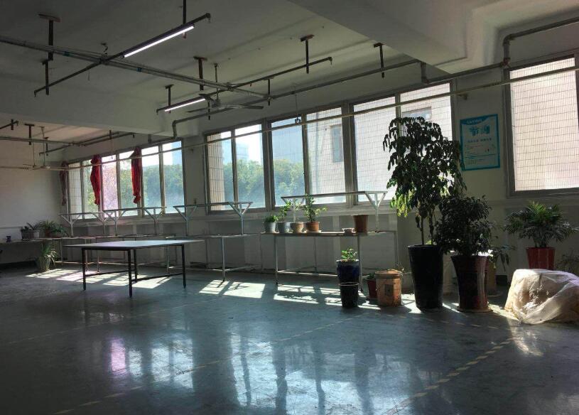 �Ͼ����� �ټҺ� ���� ʤ̫��· �칫 ���� 1500ƽ�׳���