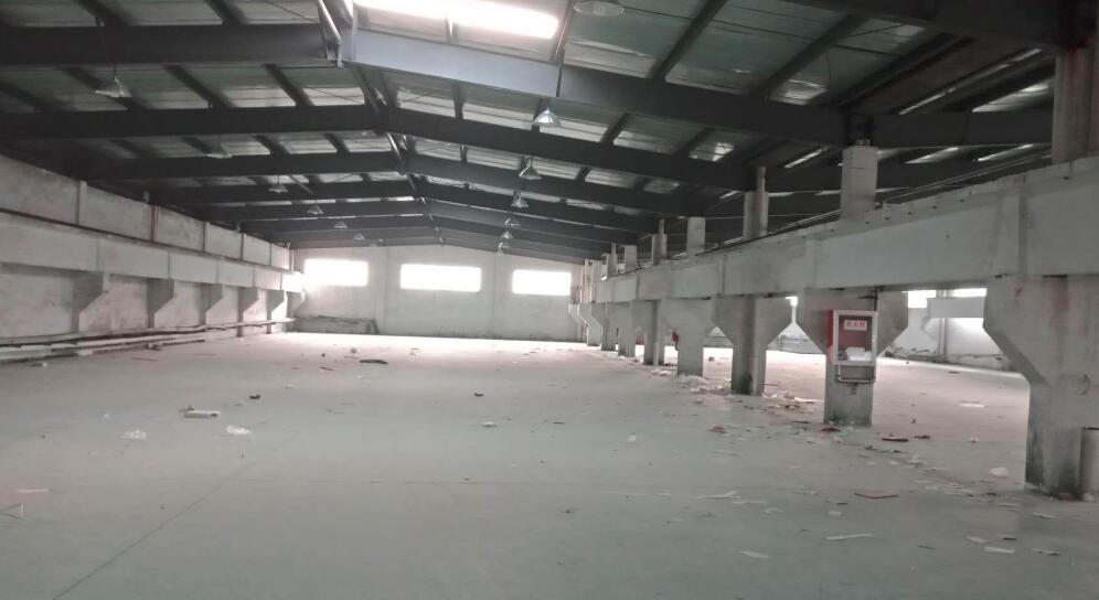 �Ͼ� ���� ���� ���ֿ���� 5000ƽ�� �ɷָ�