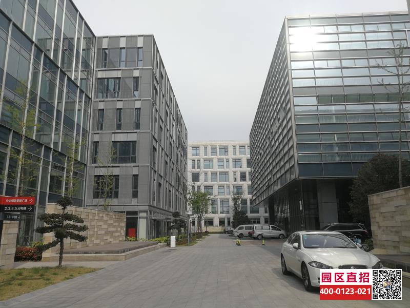 G2757 �Ϻ��ֶ� ��óҼ�������Ƽ�԰ �ֶ�����ű�˰�� ʵ���� ����ҽҩ ҽ����е �����Ƽ� ��