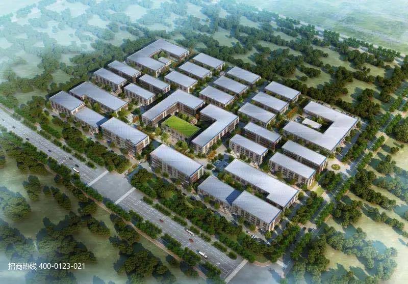 �γǳ���������� ��������ҵ���س������� ԰��ֱ������ ���н��