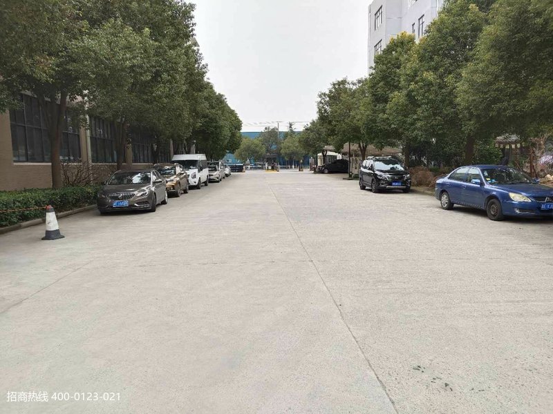 W019 �ɽ�����ͤ�󷿶�ֱ������������� ���Էָ�200ƽ������