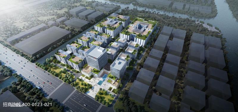 ��ʢ��Ͷ����ɽҩ�� ���������������