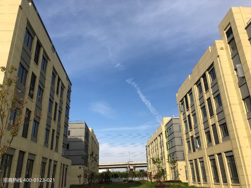 �Ϻ�������ݷׯ��ҵ������·�����ǹ��з��칫���� �������