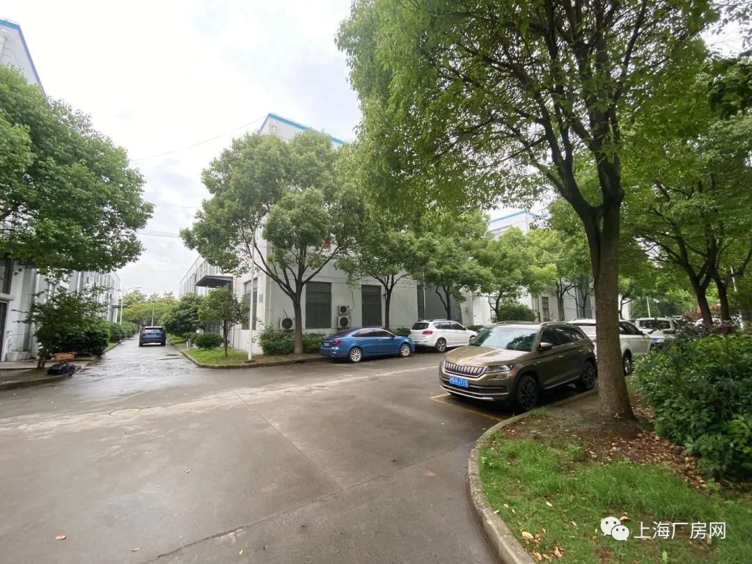 �Ϻ���������˫�㳧��2600ƽ һ¥�ɼӹ���װ�� ��¥��װ�칫 �ɷ���