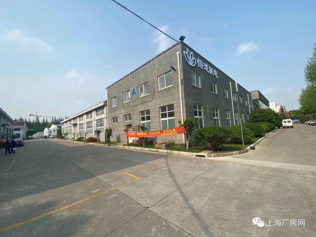 �Ϻ����ж���·2988�� �����е����ڴ���԰�������� ���� �߲� ����