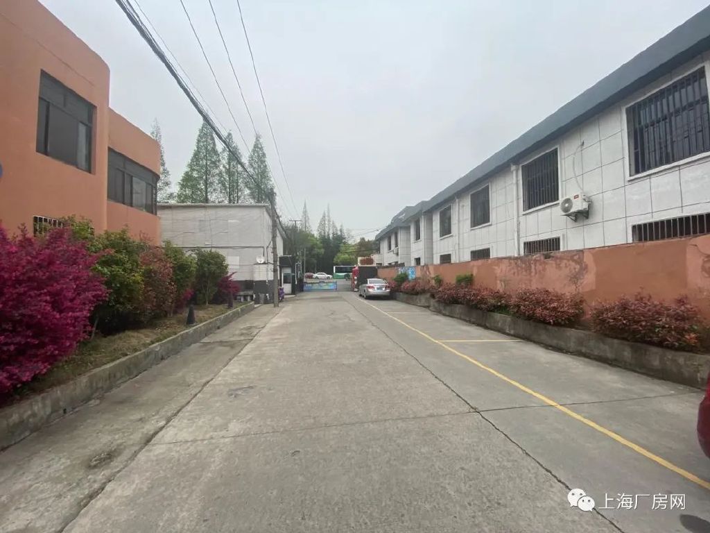 �Ϻ��������104���˫�㳧������ 280ƽ����  ֤����ȫ �ɼӹ� ��װ �����