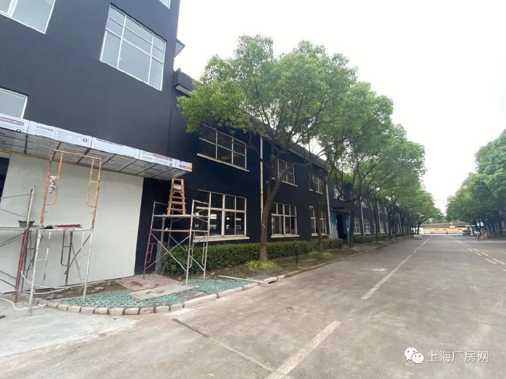 �Ϻ������������Զ�㾫װ�������� ������֤����ȫ�ɻ���ע�� �䱸ʳ�õ�