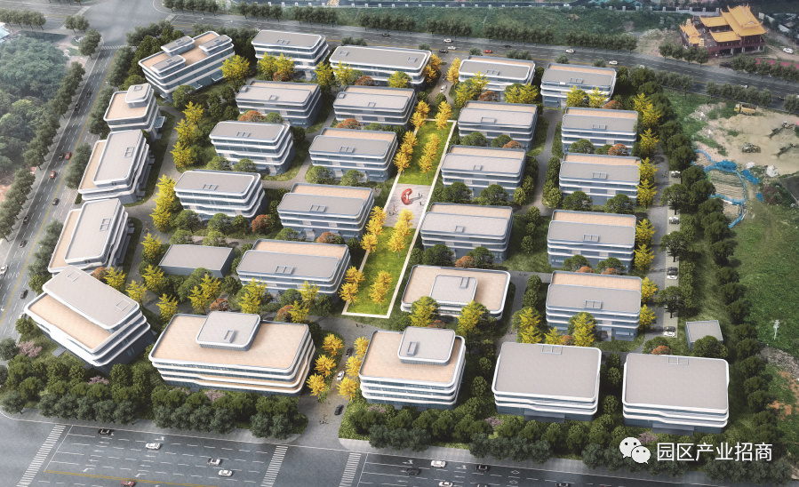 �����ƹȡ����ϻ��Ǹ� ɽ�����ϻ��񾭼ÿ������з���������