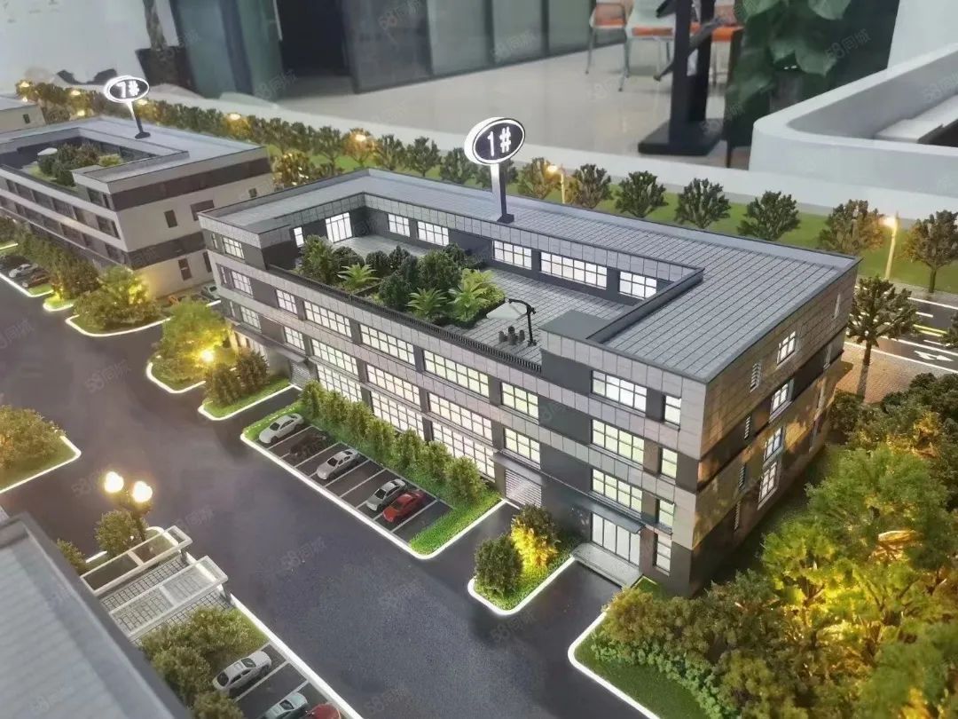 ̩���ǳ��Ƽ��ǡ�̩���и������߸����ٸ۾���԰�� 2.5���ܳ������� 1600ƽ��