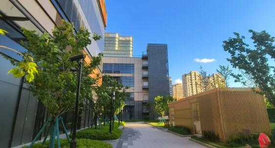 ½���켯�š��Ϻ��ֶ�����ɳ��ҵ���ġ������㳡 д��¥ �칫¥ ������� 230ƽ���Ϻ����ֶ����칫